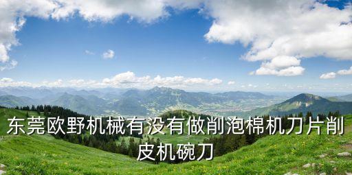 東莞歐野機械有沒有做削泡棉機刀片削皮機碗刀