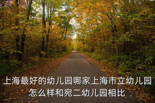 上海市立幼兒園賴麗芳，上海智立方老師怎么樣初中全科專業提分計劃好不好