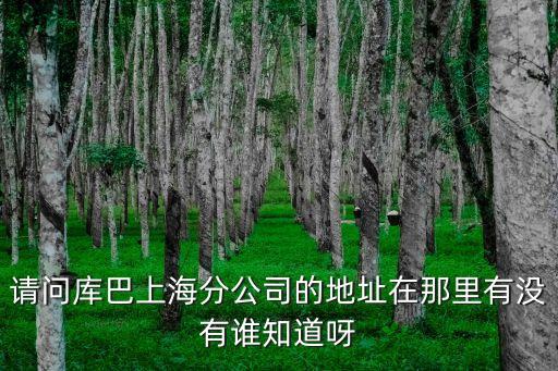 上海市庫卡柔性有限公司地址，上海 calvin klein 的公司地址在哪里啊