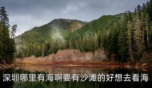 深圳哪里有海啊要有沙灘的好想去看海