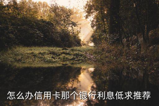 怎么辦信用卡那個銀行利息低求推薦