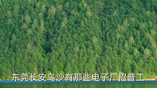 東莞烏沙電子廠名單，東莞長安烏沙有哪個(gè)電子廠普工工資有2000左右的