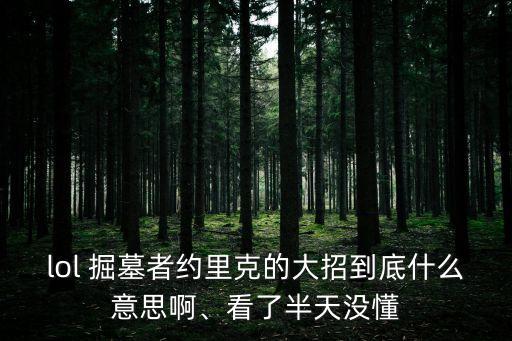 lol 掘墓者約里克的大招到底什么意思啊、看了半天沒懂