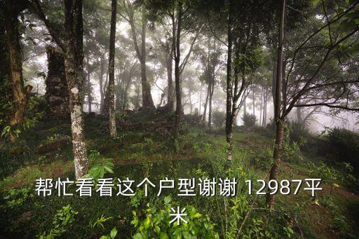 幫忙看看這個戶型謝謝 12987平米