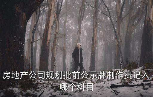 房地產公司規劃批前公示牌制作費記入哪個科目
