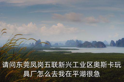 東莞工廠奧斯卡，請問東莞鳳崗五聯(lián)新興工業(yè)區(qū)奧斯卡玩具廠怎么去我在平湖很急