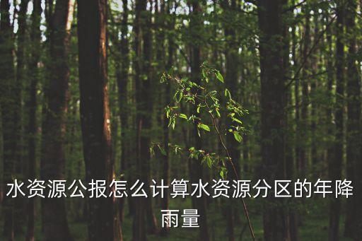 水資源公報(bào)怎么計(jì)算水資源分區(qū)的年降雨量