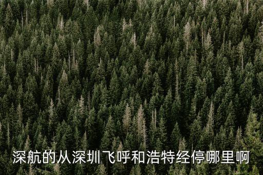 深圳航空波音7375616，深圳航空