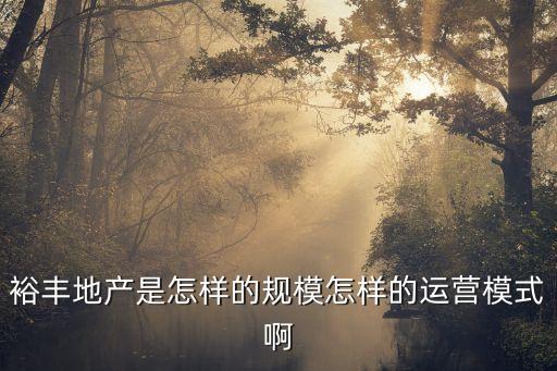 東莞裕豐地產(chǎn)全稱(chēng)，裕豐房地產(chǎn)有多少間分行