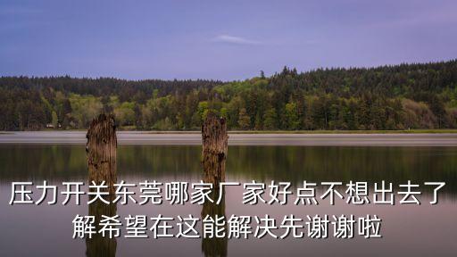 壓力開關東莞哪家廠家好點不想出去了解希望在這能解決先謝謝啦