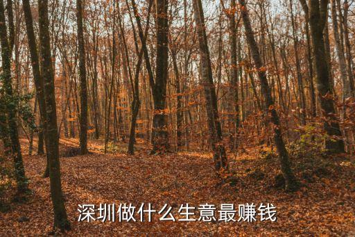 深圳做什么生意最賺錢