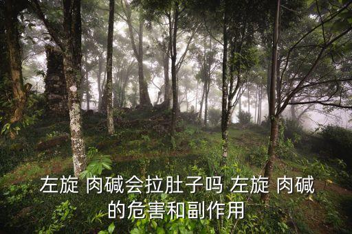  左旋 肉堿會拉肚子嗎 左旋 肉堿的危害和副作用