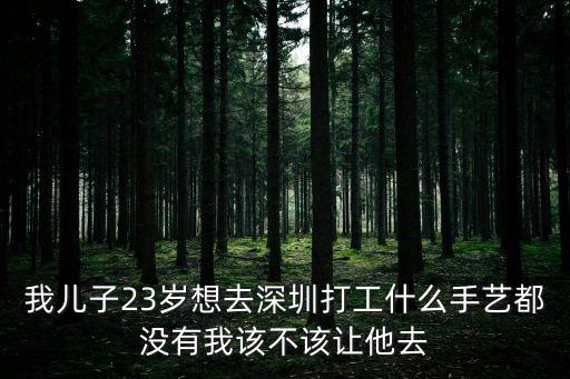 我兒子23歲想去深圳打工什么手藝都沒有我該不該讓他去