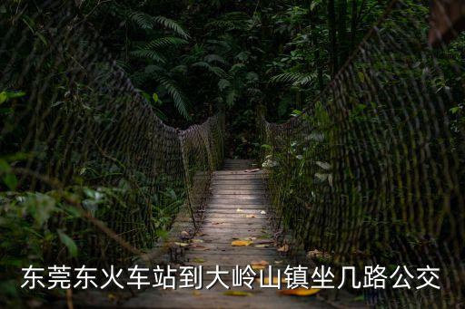 東莞東到大嶺山百貨坐幾路車，東莞東坑到大嶺山廣場(chǎng)坐幾路車