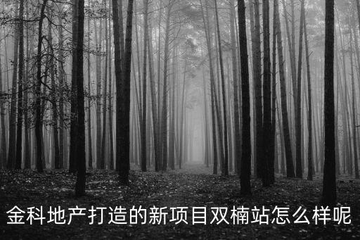 東莞南城金科地產，東莞南城房產所在哪里