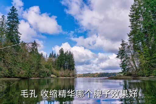 收縮毛孔的護膚品,去黑頭收縮毛孔的護膚品