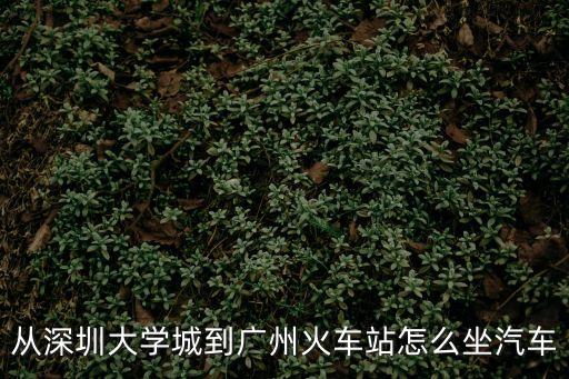 深圳大學到廣州的大巴站在哪里，深圳大學有到廣州的大巴車嗎售票點在哪電話多少