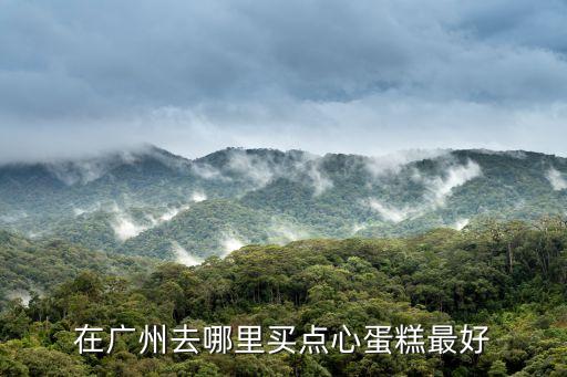 廣州糕點在哪買，在廣州去哪里買點心蛋糕最好