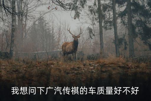 我想問下廣汽傳祺的車質量好不好