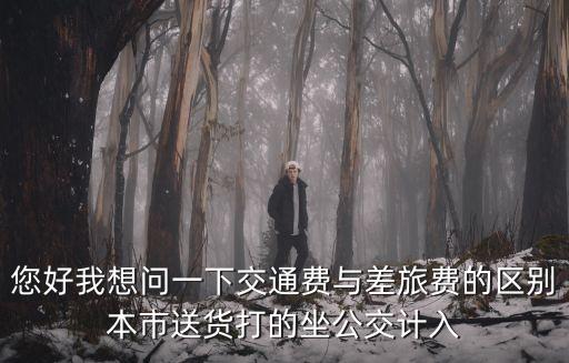 您好我想問一下交通費與差旅費的區別本市送貨打的坐公交計入