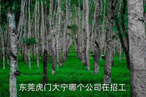 東莞虎門大寧哪個公司在招工