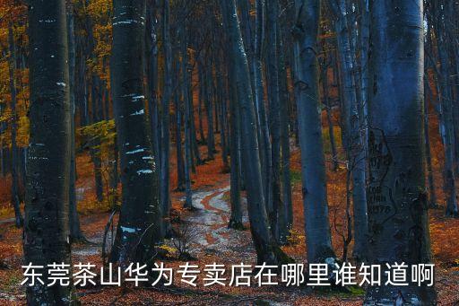 東莞茶山華為專賣店在哪里誰知道啊