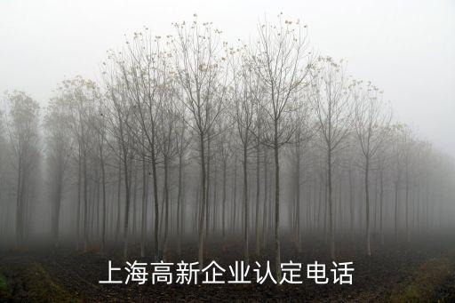 上海市高新辦，上海高新技術企業認定證書在哪里可以辦