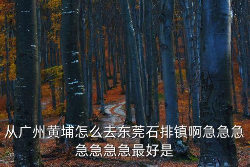 從廣州黃埔怎么去東莞石排鎮啊急急急急急急急最好是