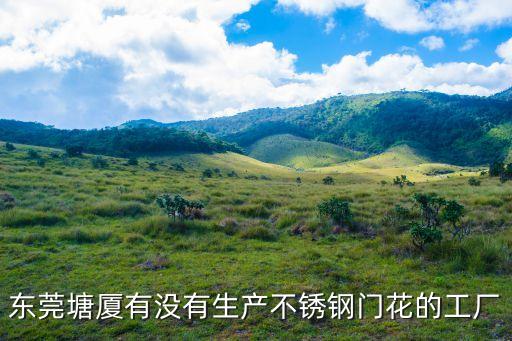 東莞塘廈有沒(méi)有生產(chǎn)不銹鋼門花的工廠