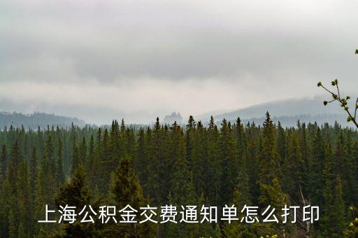 上海公積金交費通知單怎么打印