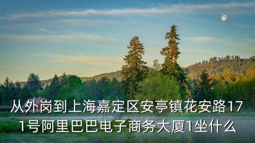 從外崗到上海嘉定區安亭鎮花安路171號阿里巴巴電子商務大廈1坐什么