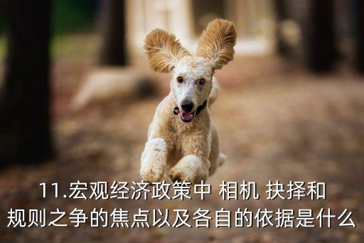 11.宏觀經(jīng)濟政策中 相機 抉擇和規(guī)則之爭的焦點以及各自的依據(jù)是什么