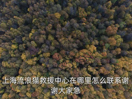 上海市求助管理二站地址，想知道 上海市 上海救助站總站在哪里 我坐那個車