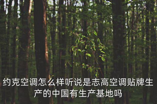 約克空調(diào)怎么樣聽(tīng)說(shuō)是志高空調(diào)貼牌生產(chǎn)的中國(guó)有生產(chǎn)基地嗎
