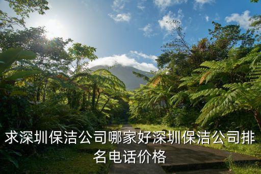 深圳保姆圖片大全，求深圳保潔公司哪家好深圳保潔公司排名電話價(jià)格