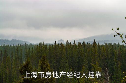 上海市房地產經紀人掛靠