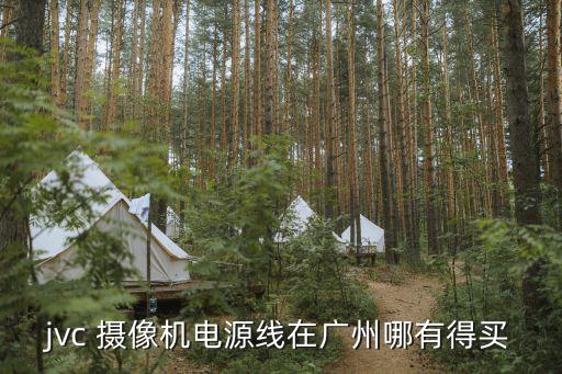 廣州jvc，jvc 攝像機(jī)電源線在廣州哪有得買