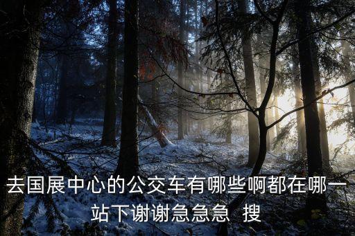 去國展中心的公交車有哪些啊都在哪一站下謝謝急急急  搜