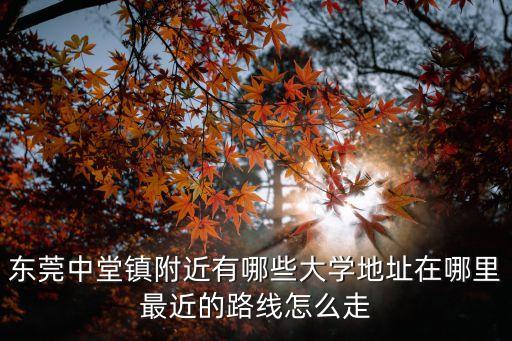 東莞中堂鎮(zhèn)附近有哪些大學(xué)地址在哪里最近的路線怎么走
