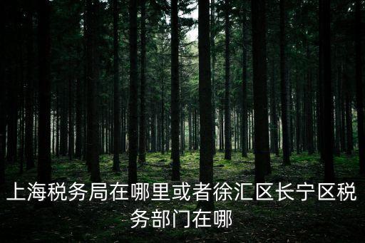 上海稅務(wù)局在哪里或者徐匯區(qū)長寧區(qū)稅務(wù)部門在哪