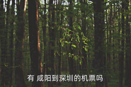有 咸陽(yáng)到深圳的機(jī)票嗎