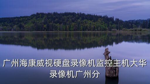 廣州?？低曈脖P錄像機監控主機大華錄像機廣州分
