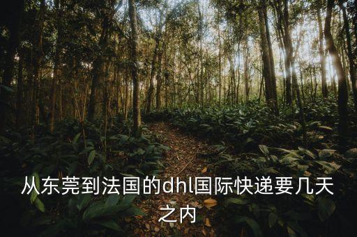 東莞到法國fba頭程配送，請問在廣州哪家發到法國的fba頭程比較好