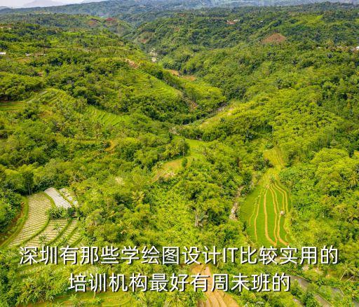 深圳有那些學繪圖設計IT比較實用的培訓機構最好有周未班的