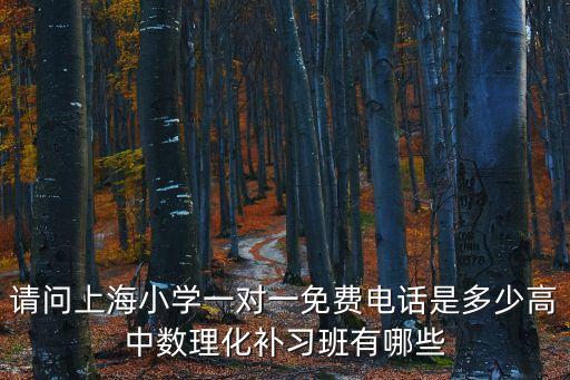 請(qǐng)問上海小學(xué)一對(duì)一免費(fèi)電話是多少高中數(shù)理化補(bǔ)習(xí)班有哪些