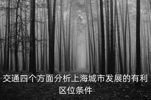 上海市區(qū)位交通條件，上海新交規(guī)