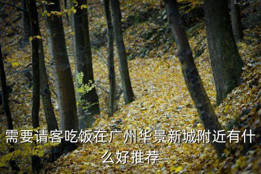 廣州華景新城附件住宿，廣州租房在華景新城裕通大廈上班準(zhǔn)備畢業(yè)一個女生該去哪租