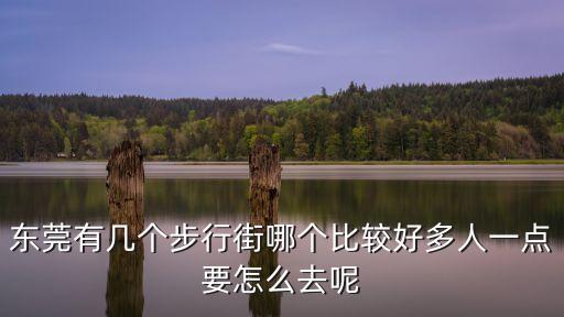 東莞市東皇步行街，東莞有幾個步行街哪個比較好多人一點要怎么去呢