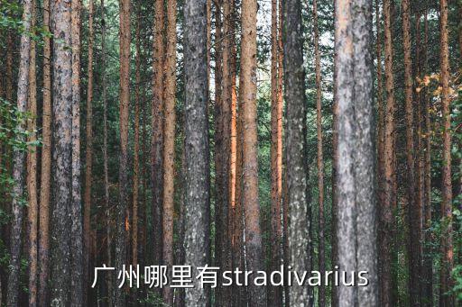 廣州那里有魔指仙境，廣州哪里有stradivarius