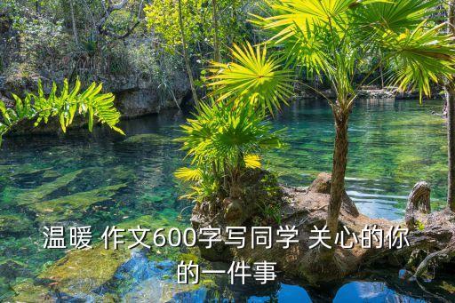 朋友的關心作文